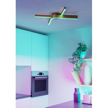 Eglo - Plafonieră LED RGBW dimabilă 2xLED/18W/230V 2700-6500K cupru/negru