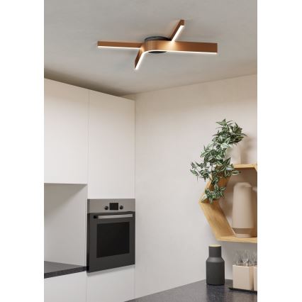 Eglo - Plafonieră LED RGBW dimabilă 2xLED/18W/230V 2700-6500K cupru/negru