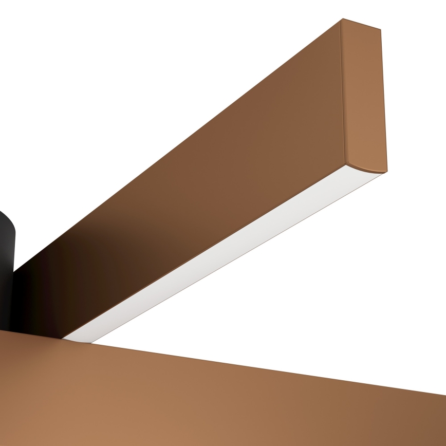 Eglo - Plafonieră LED RGBW dimabilă 2xLED/18W/230V 2700-6500K cupru/negru