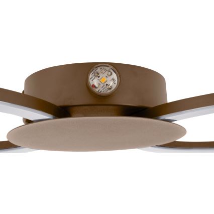 Eglo - Aplica de perete LED/20W/230V + LED/0,91W bej