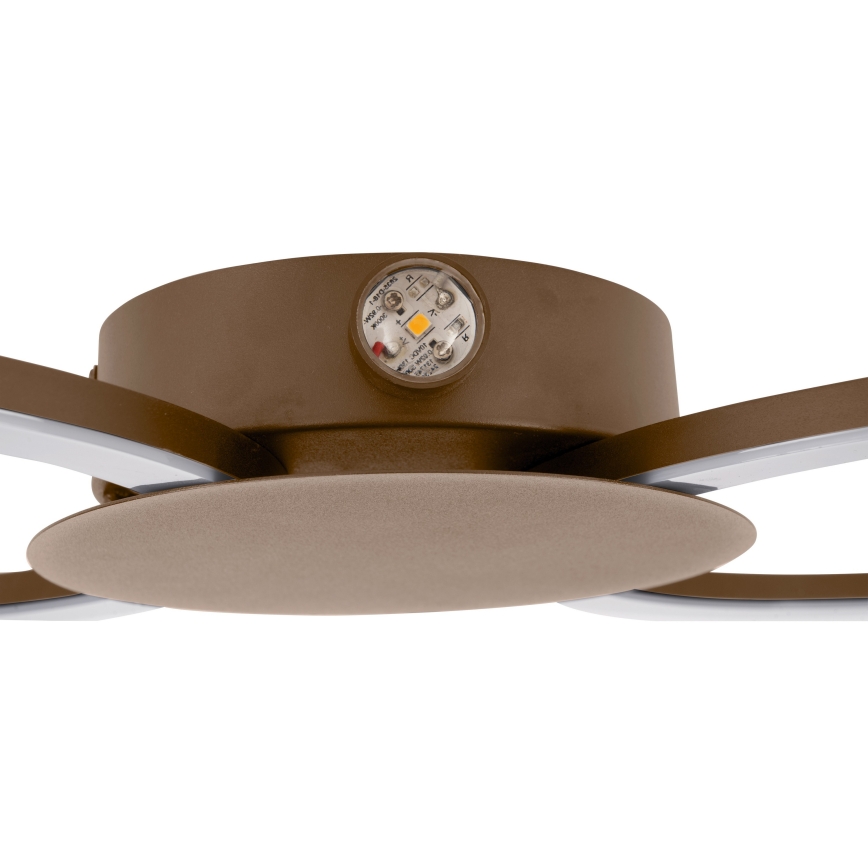 Eglo - Aplica de perete LED/20W/230V + LED/0,91W bej