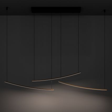 Eglo - Lustră suspendată LED dimabilă pe cablu LED/22W/230V 2700/4000/6500K auriu