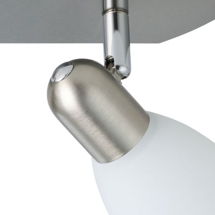 Eglo - Lampa spot 2xE14/40W