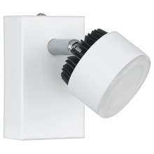 Eglo 93852 - LED Lampa spot ARMENTO 1xLED/6W/230V