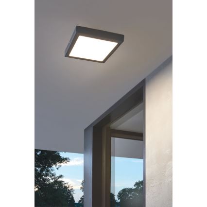 Eglo - LED Corp de iluminat exterior LED/22W