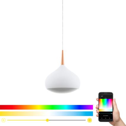 Eglo 97087 - Lampă suspendată LED RGBW dimabilă COMBA-C LED/18W/230V