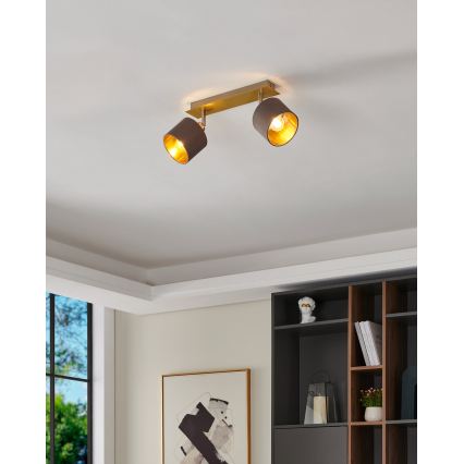 Eglo - Lampă spot 2xE14/10W/230V