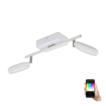 Eglo 97692 - Spot LED RGB PALOMBARE-C 2xLED/5W/230V