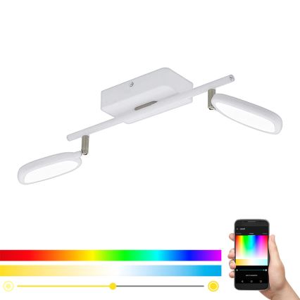 Eglo 97692 - Spot LED RGB PALOMBARE-C 2xLED/5W/230V