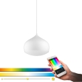 Eglo 98047 - Lustră suspendată pe cablu RGBW LED reglabilă COMBA-C LED/18W/230V