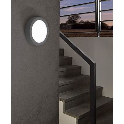 Eglo - Lampă LED de exterior reglabilă ARGOLIS-C LED/16,5W/230V IP44