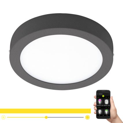 Eglo - Lampă LED de exterior reglabilă ARGOLIS-C LED/16,5W/230V IP44