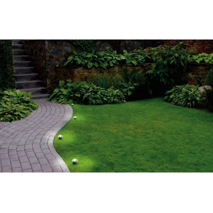 Eglo - Ghirlandă LED decorativă pentru exterior, 9 LED, 10 m, IP65, alb cald