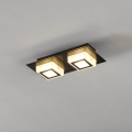 Eglo 99362 - Plafonieră LED MASIANO 2xLED/3,3W/230V