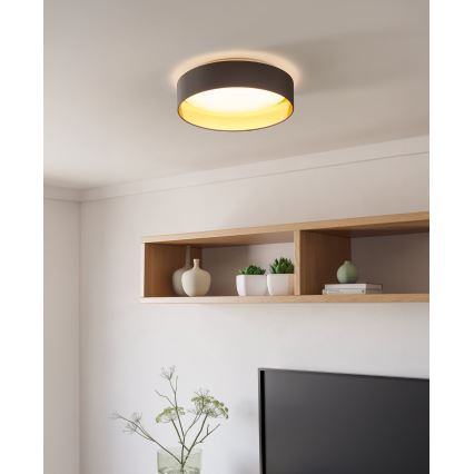 Eglo - Plafonieră LED LED/24W/230V