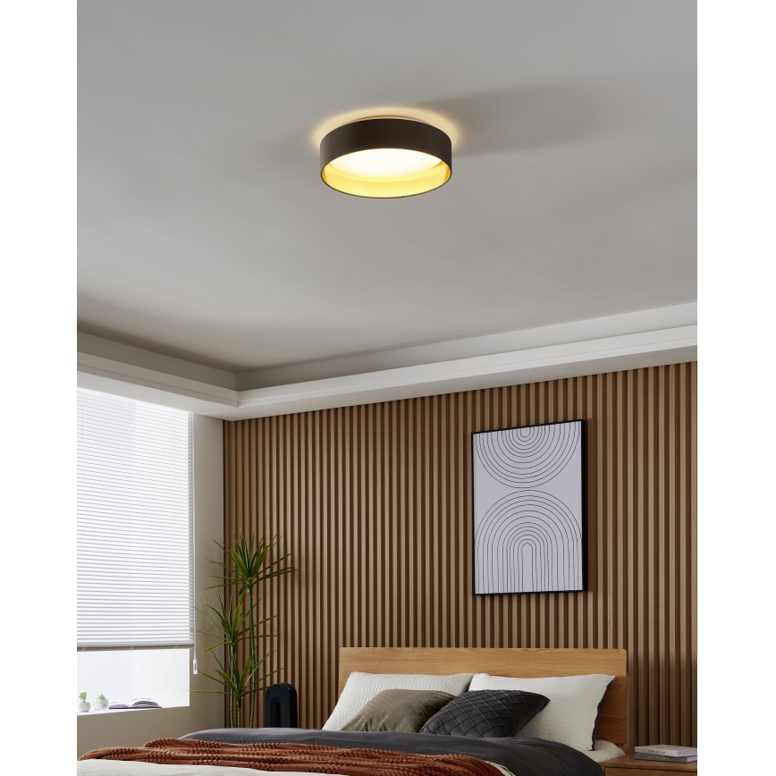 Eglo - Plafonieră LED LED/24W/230V