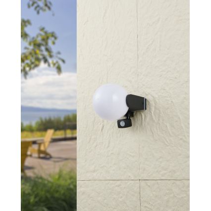 Eglo 99573 - Aplica de exterior cu senzor RUBIO 1xE27/15W/230V IP44
