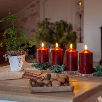 Eglo - Decorațiune de Crăciun LED/0,03W/2xAA