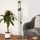 Eglo - Lampă de podea 2xE14/8W/230V verde