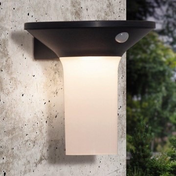 Eglo - Lampă solară LED de exterior cu senzor 6xLED/0,03W/3,7V IP44