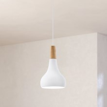 Eglo - Lampa suspendata 1xE27/60W/230V 180mm alb