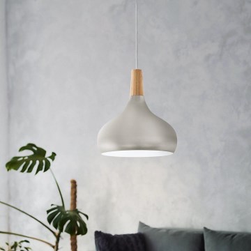 Eglo - Lampă suspendată 1xE27/60W/230V, diametru 28 cm, argintiu