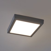 Eglo - LED Corp de iluminat exterior LED/22W