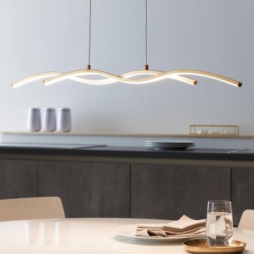 Eglo - Lustră LED pe cablu 2xLED/8,5W/230V