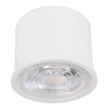 Eglo - Modul LED RGBW dimmabil, 4,7 W, 230 V, 2700-6500 K