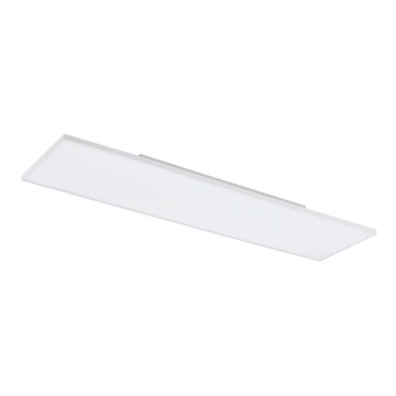 Eglo - Plafonieră LED LED/31,5W/230V