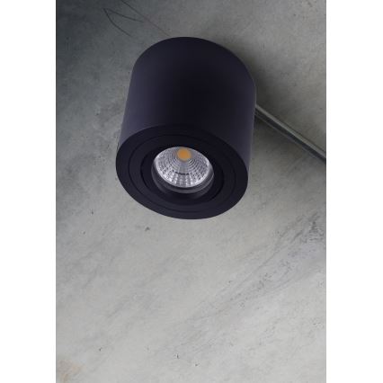 Emithor 48607 - Plafonieră spot SURFACE 1xGU10/50W/230V