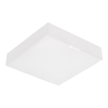 Emithor 63215 - Plafonieră LED SURFACE/10W/230V