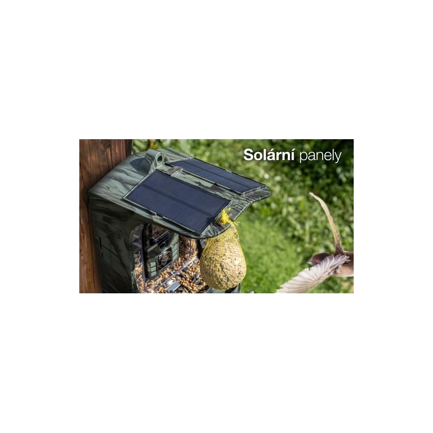 Evolveo - StrongVision BirdFeeder - hrănitoare inteligentă pentru păsări cu cameră și panouri solare
