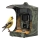 Evolveo - StrongVision BirdFeeder - hrănitoare inteligentă pentru păsări cu cameră și panouri solare