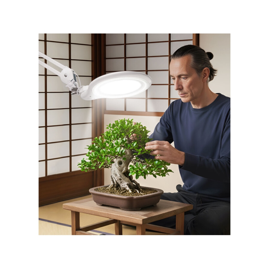 Extol - Lampă de birou LED reglabilă cu lupă LED/10W/230V, albă