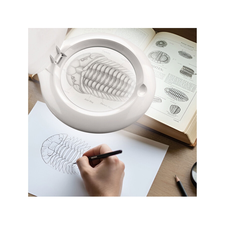 Extol - Lampă de birou LED reglabilă cu lupă LED/10W/230V, albă