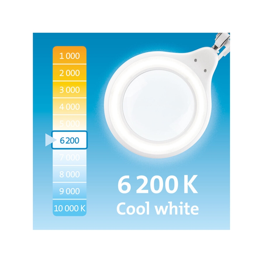 Extol - Lampă de birou LED reglabilă cu lupă LED/10W/230V, albă