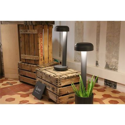 FARO 71206 - Corp de iluminat exterior LED GROW LED/9W/230V IP65