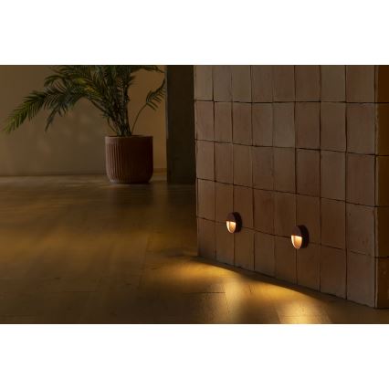 FARO 71962 - Corp de iluminat LED pentru scări DUNE LED/3W/230V 2200/2700/3200/4000K IP65 maro rotund