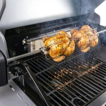 Fieldmann - Țepușă pentru grătar cu motor 230 V, din inox