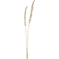 Floare artificială Eglo 71,5 cm auriu