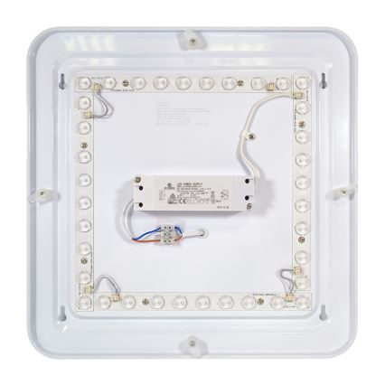 Fulgur 24313 - Plafonieră LED PAVLA STARS LED/36W/230V 2700K
