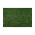 Gazon sintetic BELLIN 200x400 cm, înălțime 18 mm, verde