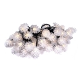 Ghirlandă de Crăciun pentru exterior, 40 LED-uri, 15 m, IP44, alb cald