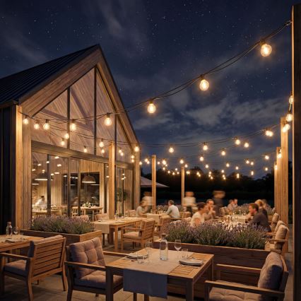 Șir decorativ LED reglabil pentru exterior 36xE12/1W/24/230V 22,35 m IP65 negru + telecomandă