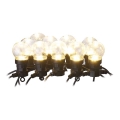 Ghirlandă LED decorativă pentru exterior, 10 LED/10 m, IP44, transparentă