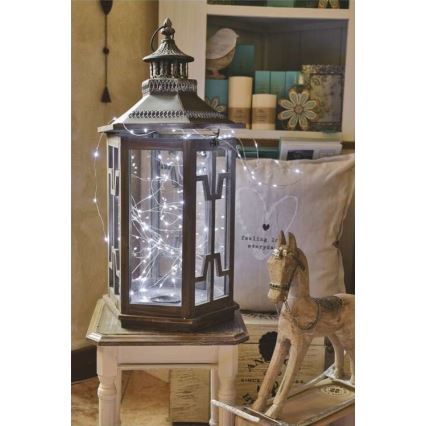 Ghirlandă LED pentru exterior, 40 LED / 9 m, IP44, alb rece