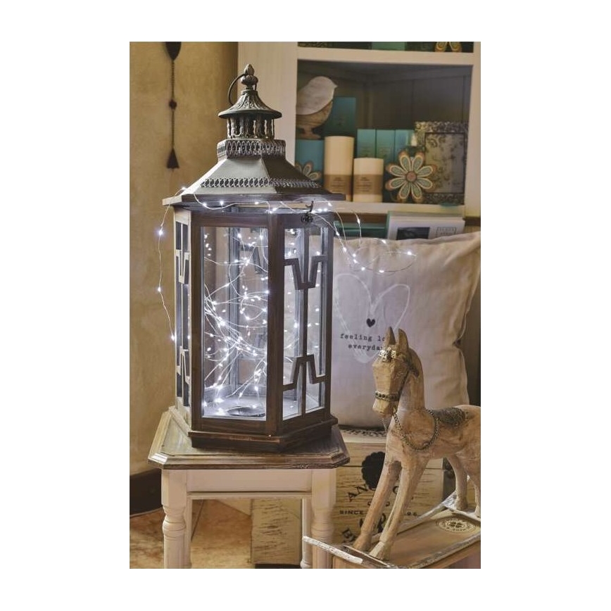 Ghirlandă LED pentru exterior, 40 LED / 9 m, IP44, alb rece