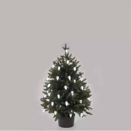 Ghirlandă luminoasă LED de exterior, 50 LED-uri, 8 funcții, 14,8 m, IP44, alb rece