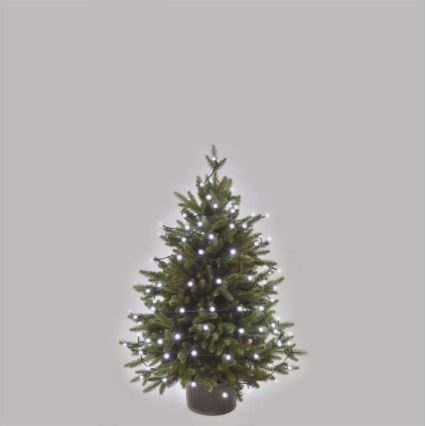Ghirlandă luminoasă LED de exterior, 80 LED, 13 m, IP44, alb rece